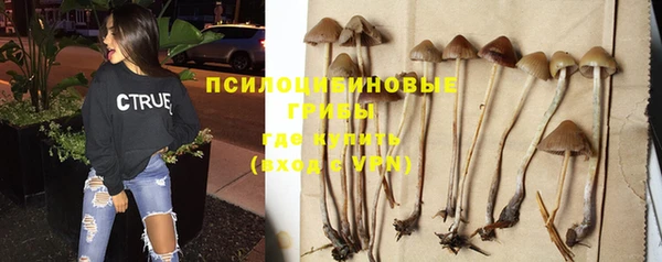 спайс Вяземский