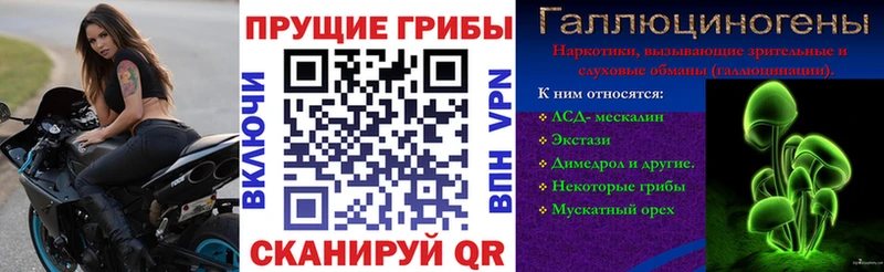 цены наркотик  Нефтеюганск  Псилоцибиновые грибы MAGIC MUSHROOMS 